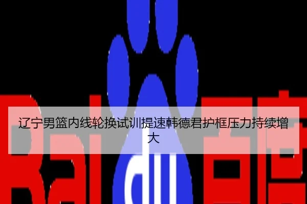 辽宁男篮内线轮换试训提速韩德君护框压力持续增大