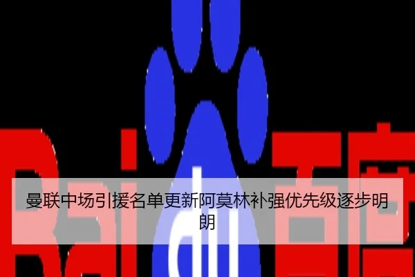 曼联中场引援名单更新阿莫林补强优先级逐步明朗