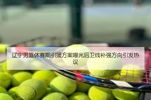 辽宁男篮休赛期引援方案曝光后卫线补强方向引发热议